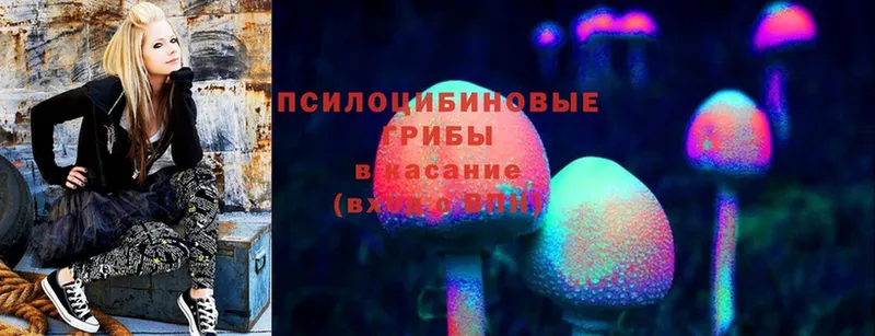 сколько стоит  дарк нет формула  Галлюциногенные грибы прущие грибы  Когалым 